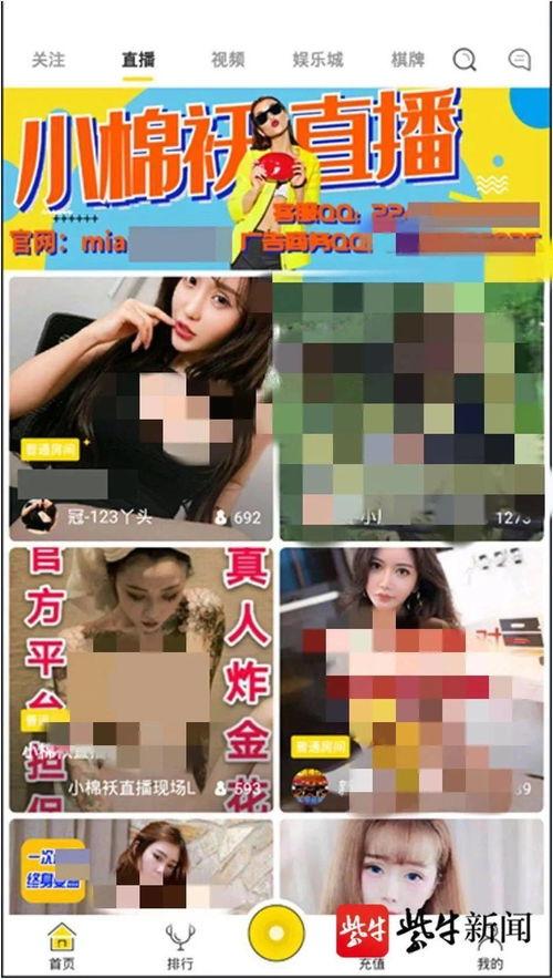 月夜直播成人APP,探索成人APP的私密世界